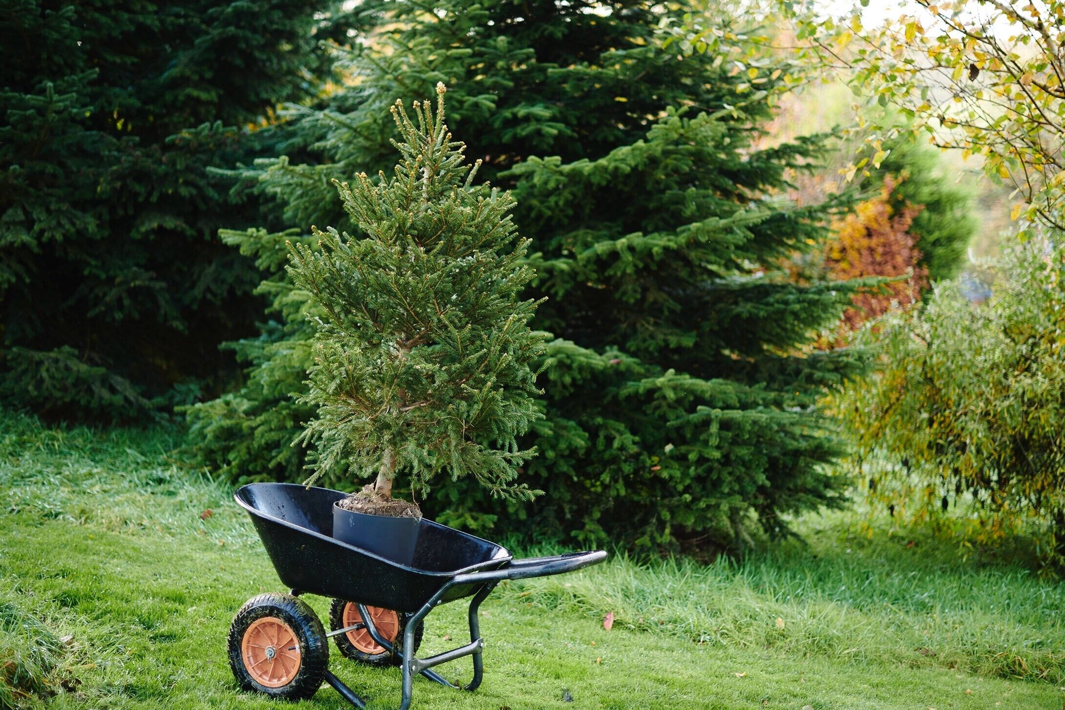 RootedOutdoor0189.jpg