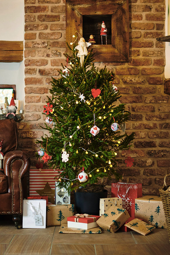 Spruce.jpg